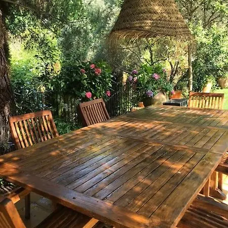 Casa Les Oliveres *