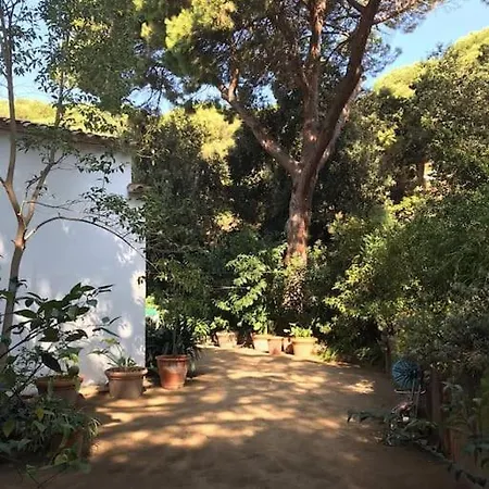 Willa Casa Les Oliveres Lloret de Mar