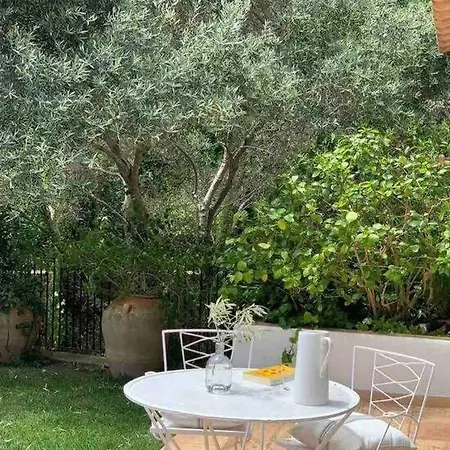 Casa Les Oliveres *